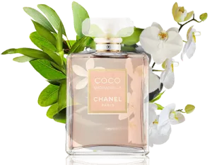 ادو پرفیوم و ادکلن